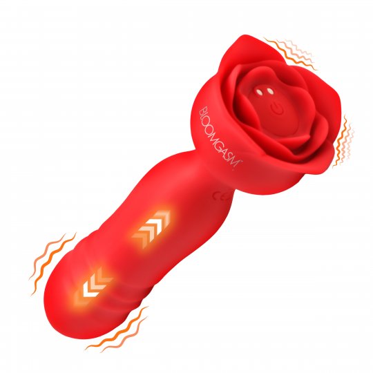 Rose Delight Silicone Thrusting Vibrator
Code: AH573